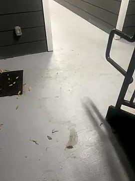 zeekBbc online show from November 16, 2025, 10:53 am