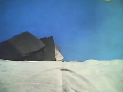 Vago745 online show from December 2, 2024, 10:46 am