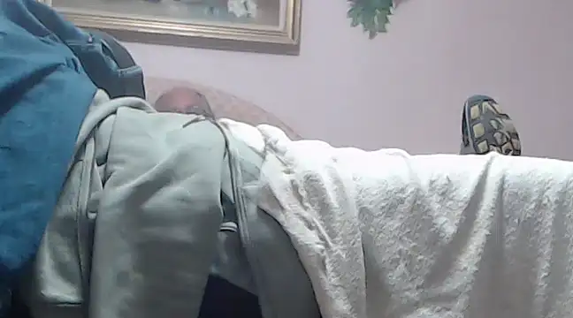 vanscr1 online show from December 24, 2024, 3:16 am