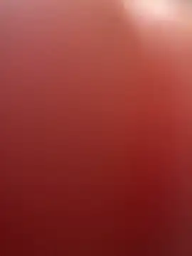 Snapshot of portugadopau chatting on September 10, 2025, 4:06 pm portugadopau online show from September 10, 2025, 4:06 pm