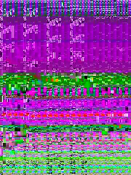 4n4l1zz4m1 online show from November 11, 2025, 1:50 pm