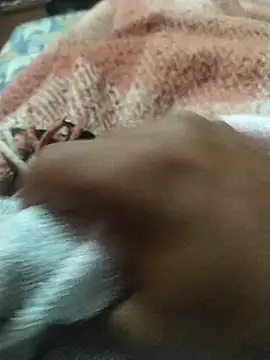 Jhjhipo online show from November 21, 2025, 11:04 pm