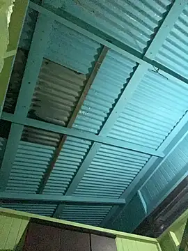 islandvybee55 online show from January 11, 2026, 9:16 am