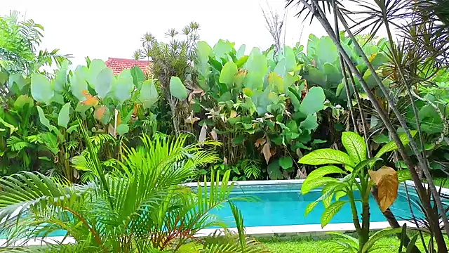 Snapshot of _Katie_Dierse chatting on February 9, 2026, 5:38 am Katie Dierse online show from February 9, 2026, 5:38 am