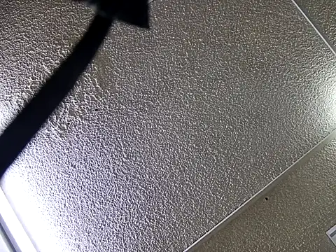 yajahil online show from November 28, 2025, 7:36 pm