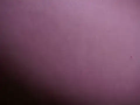 Snapshot of AliceShazaham_ chatting on January 5, 2025, 9:48 am AliceShazaham  online show from January 5, 2025, 9:48 am