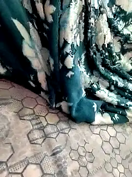 bulunchu online show from November 2, 2025, 3:50 pm