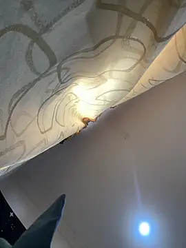 pawmistry online show from December 16, 2025, 8:13 pm