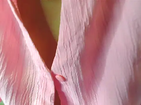 Snapshot of your_Shanvi chatting on October 4, 2025, 7:59 pm your Shanvi online show from October 4, 2025, 7:59 pm