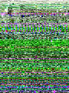 Snapshot of Shona5768 chatting on November 20, 2025, 8:48 am Shona5768 online show from November 20, 2025, 8:48 am