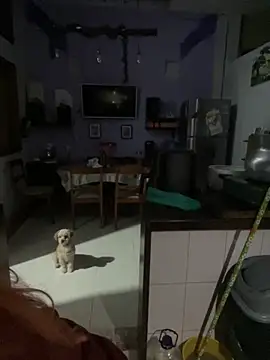 SophiaWeestt99 online show from October 1, 2025, 1:44 am