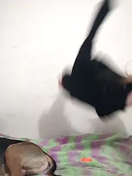 ElektrikFrancaise online show from January 8, 2026, 7:36 am