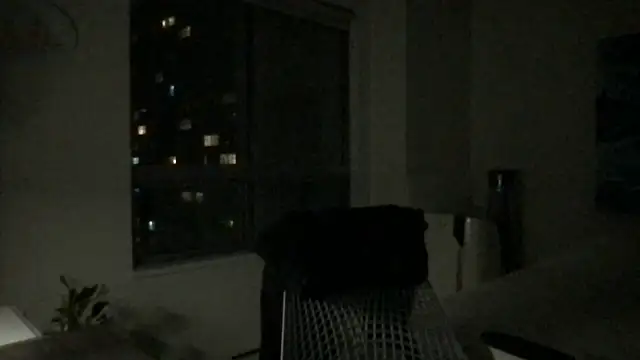 Gingerbushguy online show from December 29, 2024, 9:39 am