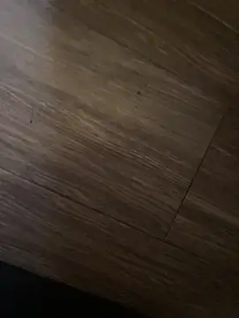 baby lizy online show from March 25, 2026, 5:12 pm