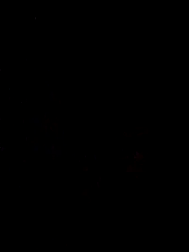 Hilkanna  online show from February 23, 2026, 7:25 pm