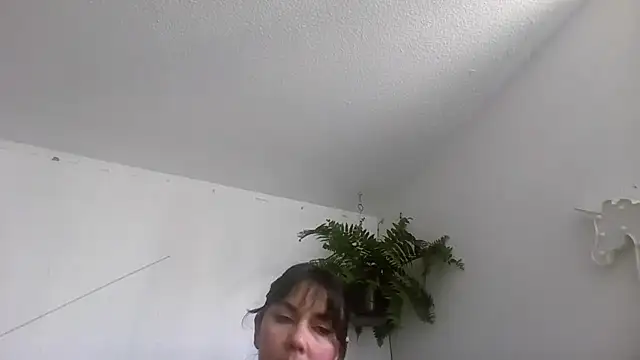 Tiramisu89 online show from January 11, 2026, 6:48 pm