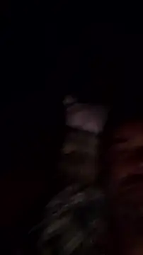 Snapshot of Gianlucazeis chatting on June 3, 2026, 2:56 am Gianlucazeis online show from June 3, 2026, 2:56 am