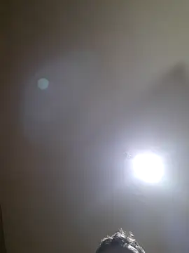 Colorao4 online show from October 8, 2025, 10:39 am