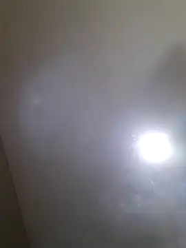 Colorao4 online show from September 30, 2025, 2:56 pm