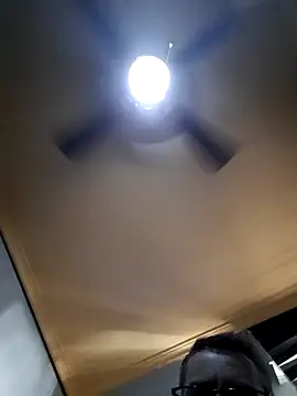 Colorao4 online show from September 23, 2025, 11:50 am