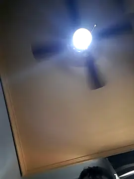 Colorao4 online show from November 1, 2025, 11:59 am