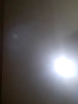 Colorao4 online show from October 6, 2025, 12:17 pm