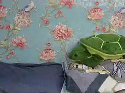 Tiny lusty online show from March 16, 2025, 8:21 pm