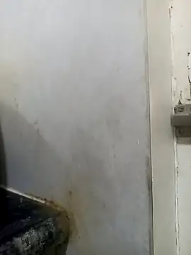 wildfox566 online show from March 15, 2026, 3:46 am