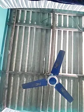 hotbaby 5 online show from November 7, 2025, 8:41 am