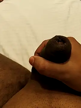 Mallu Curator online show from October 29, 2025, 12:37 pm