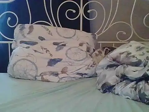 Snapshot of sympatyczny223 chatting on March 15, 2025, 8:04 am sympatyczny223 online show from March 15, 2025, 8:04 am