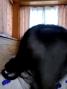 Snapshot of Kurage_chan chatting on February 25, 2025, 3:20 am Kurage chan online show from February 25, 2025, 3:20 am