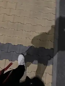 maiolullo online show from November 24, 2025, 11:49 pm