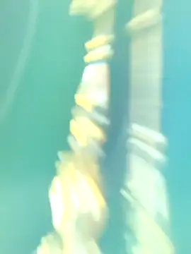 Ananya 34 online show from October 1, 2025, 2:49 am