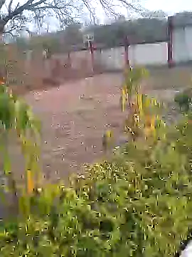 Snapshot of AuntyLover_BhabhiLover_ chatting on February 6, 2025, 12:04 pm AuntyLover BhabhiLover  online show from February 6, 2025, 12:04 pm