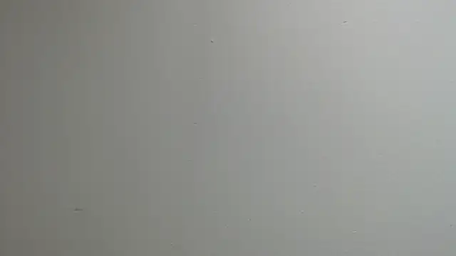 sussy leon online show from March 13, 2025, 12:24 pm