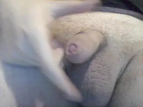 Snapshot of Lovelabite2 chatting on February 17, 2025, 5:12 pm Lovelabite2 online show from February 17, 2025, 5:12 pm