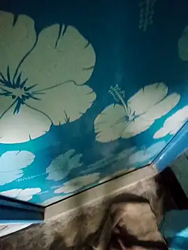 Snapshot of fanus_6927 chatting on October 2, 2025, 6:44 pm fanus 6927 online show from October 2, 2025, 6:44 pm