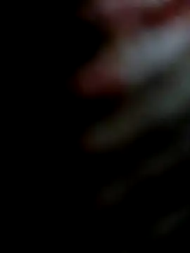 Snapshot of miamiworld chatting on December 13, 2024, 2:27 pm miamiworld online show from December 13, 2024, 2:27 pm