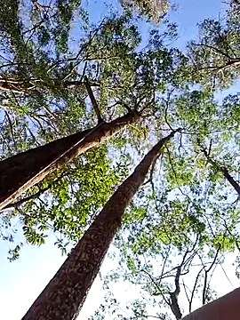 sexyterapy online show from March 29, 2026, 6:53 pm