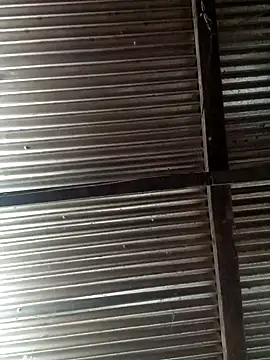 Huebolocko online show from December 3, 2024, 6:22 pm