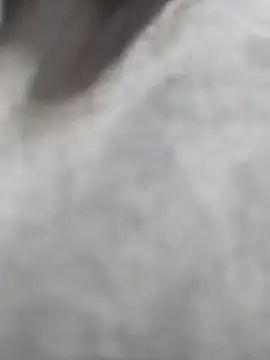 heartless  95 online show from November 17, 2025, 12:53 pm