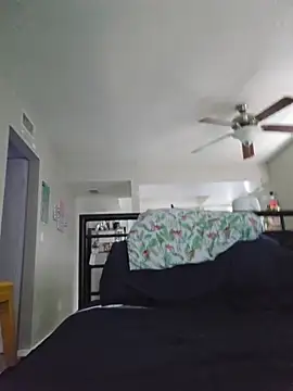 DevilDahm online show from November 21, 2025, 8:08 pm