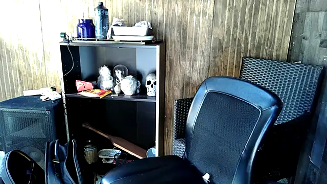 Snapshot of Buffshagswell chatting on January 13, 2026, 9:08 pm Buffshagswell online show from January 13, 2026, 9:08 pm