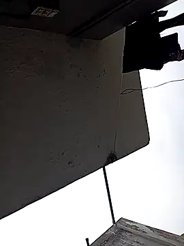 Andrapradesh online show from October 13, 2025, 9:00 am