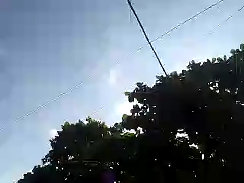 fdvign7 online show from November 5, 2025, 9:18 pm