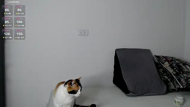 Snapshot of gigilovedback chatting on September 19, 2025, 11:20 pm gigilovedback online show from September 19, 2025, 11:20 pm