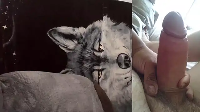 Hornychitown24 online show from February 3, 2026, 8:36 pm