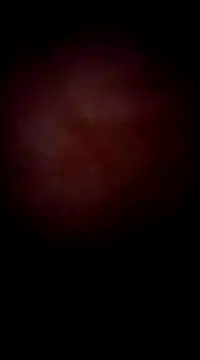 Snapshot of garchapatagonica chatting on December 23, 2024, 4:44 am garchapatagonica online show from December 23, 2024, 4:44 am