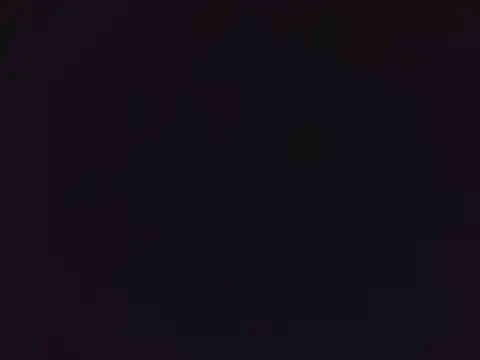 tripexnte online show from March 8, 2025, 9:29 pm